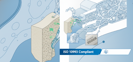 iso 10993 peek