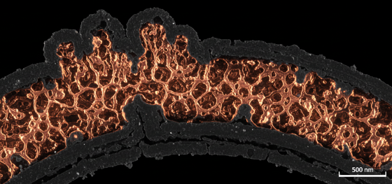 Magnified cross section showing copper chemically bonding into etched cavities of a solid polymer Magnified cross section showing copper chemically bonding into etched cavities of a solid polymer